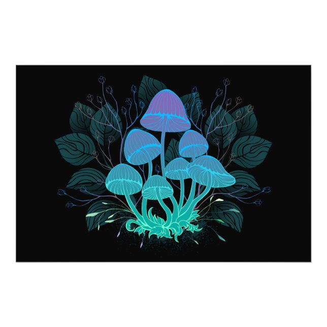 Toadstooler i Bushs Fototryck (Framsidan)