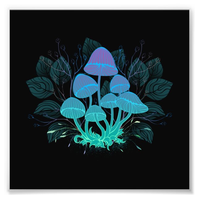 Toadstooler i Bushs Fototryck (Framsidan)