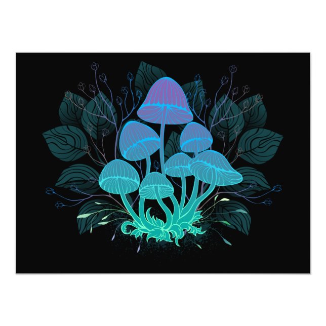 Toadstooler i Bushs Fototryck (Framsidan)