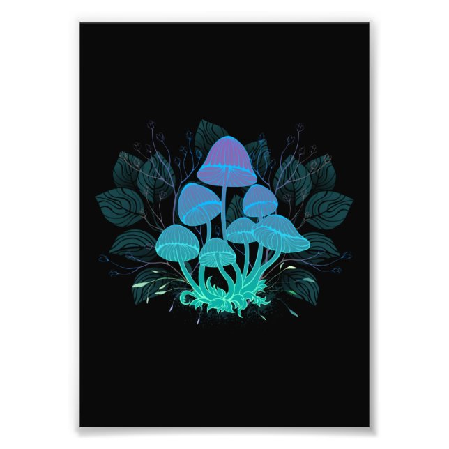 Toadstooler i Bushs Fototryck (Framsidan)