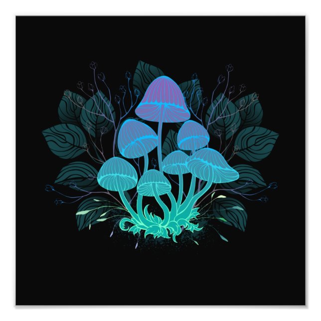 Toadstooler i Bushs Fototryck (Framsidan)