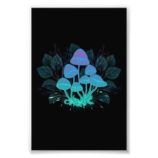 Toadstooler i Bushs Fototryck (Framsidan)