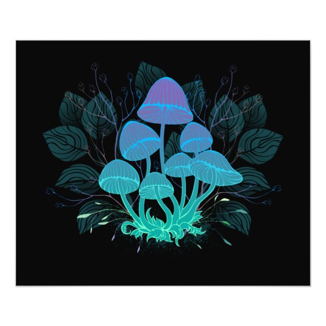 Toadstooler i Bushs Fototryck (Framsidan)