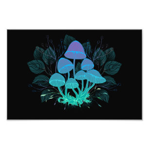 Toadstooler i Bushs Fototryck