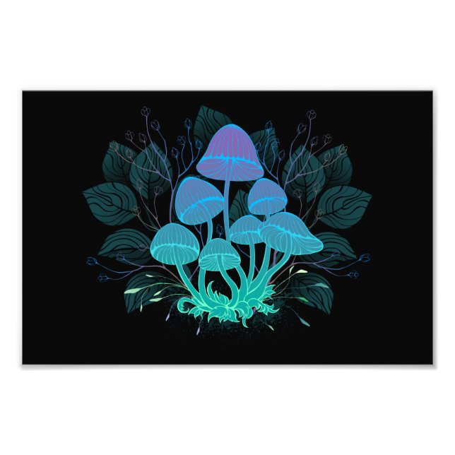 Toadstooler i Bushs Fototryck (Framsidan)