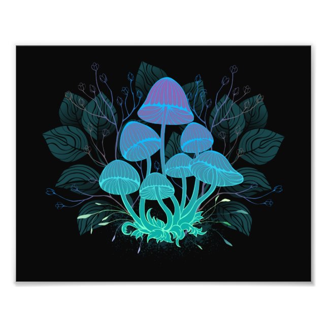 Toadstooler i Bushs Fototryck (Framsidan)