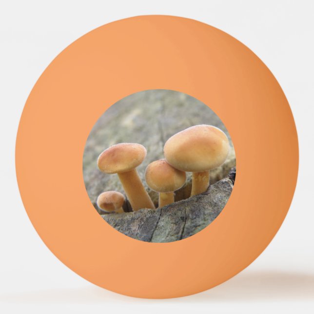 Toadstooler på en Träd Trunk Ping Pong Boll (Baksidan)