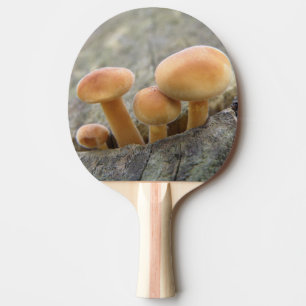 Toadstooler på en Träd Trunk Ping Pong Paddle Pingisracket
