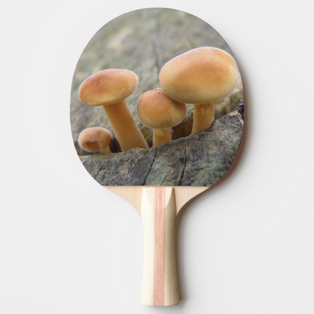 Toadstooler på en Träd Trunk Ping Pong Paddle Pingisracket (Framsidan)