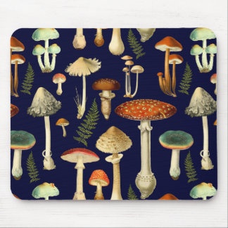 Toadstools Musmatta