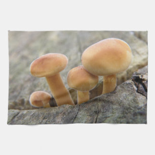 Toadstools på Träd Trunk Kitchen Towel Kökshandduk