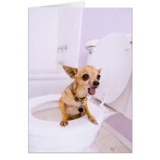 Toalettbunke (vatten tömdes ut), hälsningskort