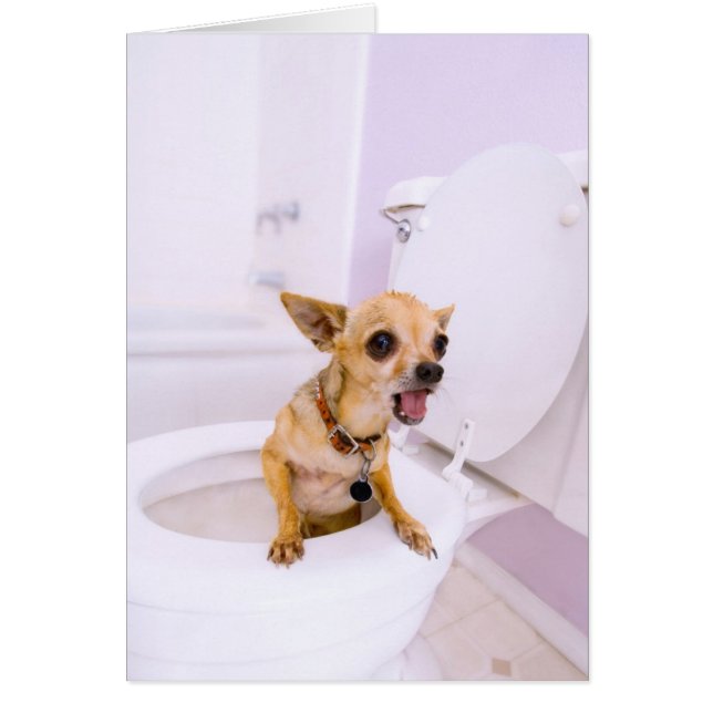 Toalettbunke (vatten tömdes ut), hälsningskort (Framsidan)