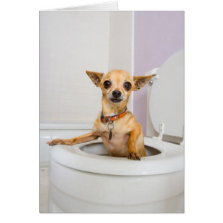 Toalettbunke (vatten tömdes ut), hälsningskort