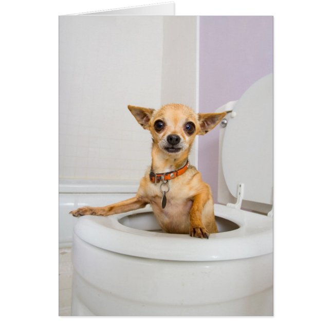 Toalettbunke (vatten tömdes ut), hälsningskort (Framsidan)