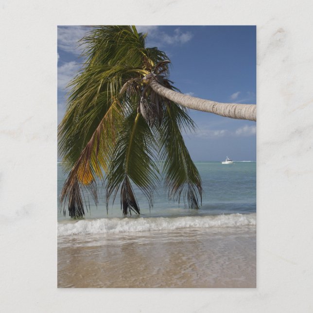 Tobago_-1926 Vykort (Framsida)