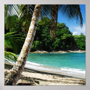 Tobago - ö paradis poster