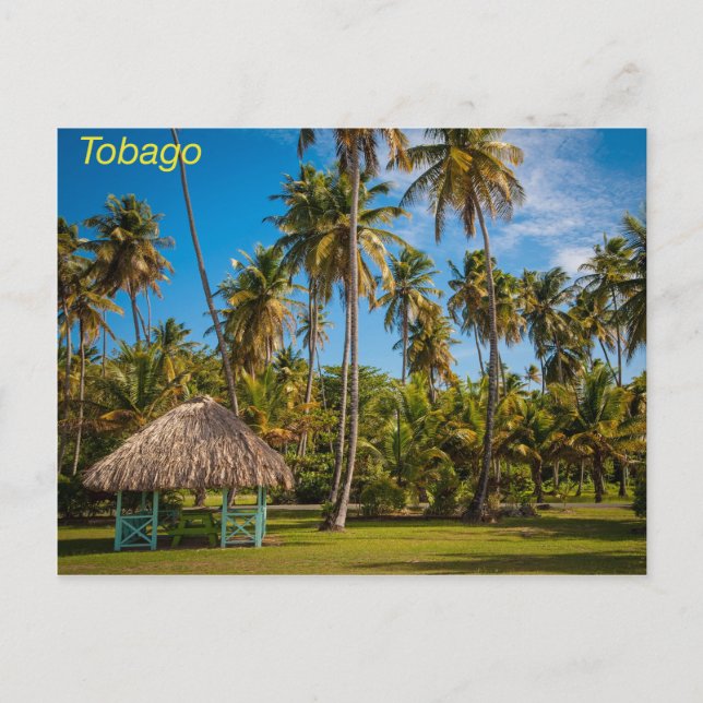 Tobago Vykort (Framsida)