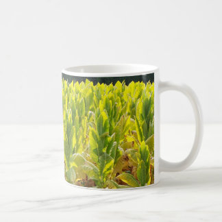 Tobak mugg