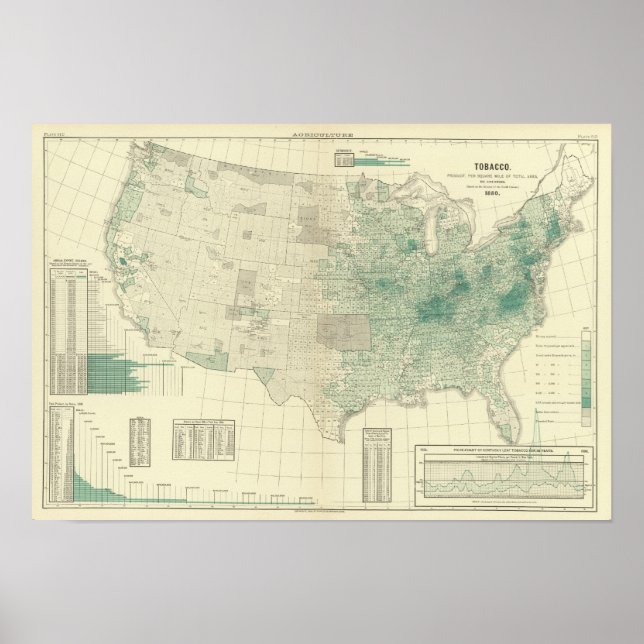 Tobak Poster (Framsidan)