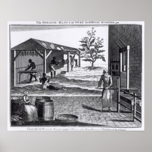 Tobakmanufactoryen i olika grenar poster