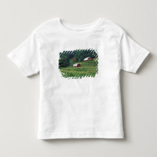 Tobaksgröda och par röda tobaksstallar nära tee shirt