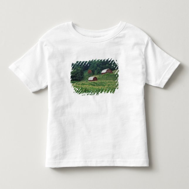 Tobaksgröda och par röda tobaksstallar nära tee shirt (Framsida)