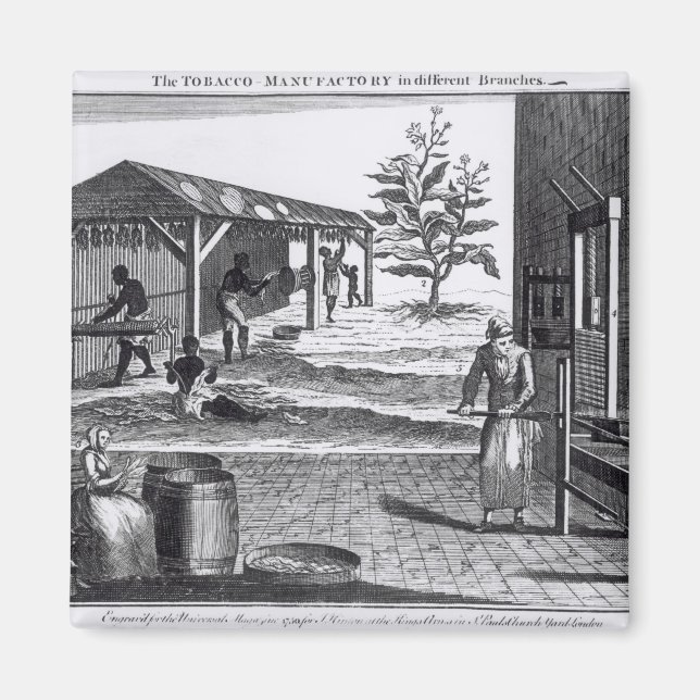 Tobakstillverkningen i olika Grenar Magnet (Framsidan)