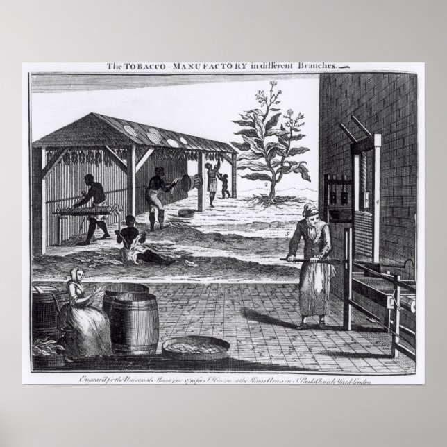 Tobakstillverkningen i olika Grenar Poster (Framsidan)