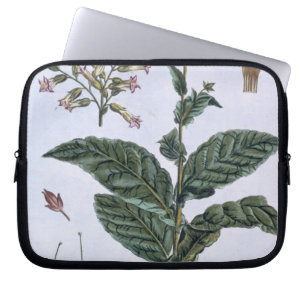 Tobakväxten, pläterar 7, från 'samlingen Precie Laptop Sleeve