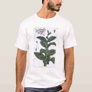 Tobakväxten, pläterar 7, från 'samlingen Precie T-shirt