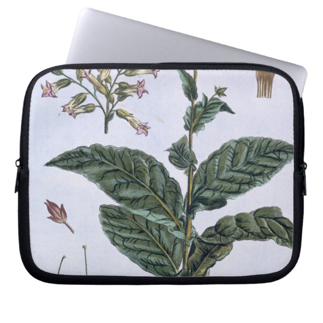 Tobakväxten, pläterar 7, från 'samlingen Precieuse Laptop Sleeve (Framsidan)