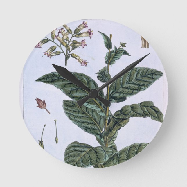 Tobakväxten, pläterar 7, från 'samlingen Precieuse Rund Klocka (Framsida)