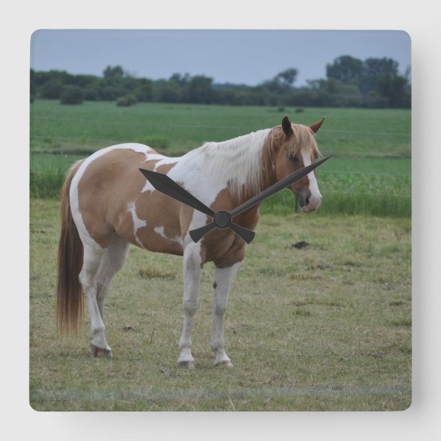 Tobiano målar hästen fyrkantig klocka (Framsida)