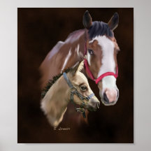 Tobiano Paint Mare och Foal