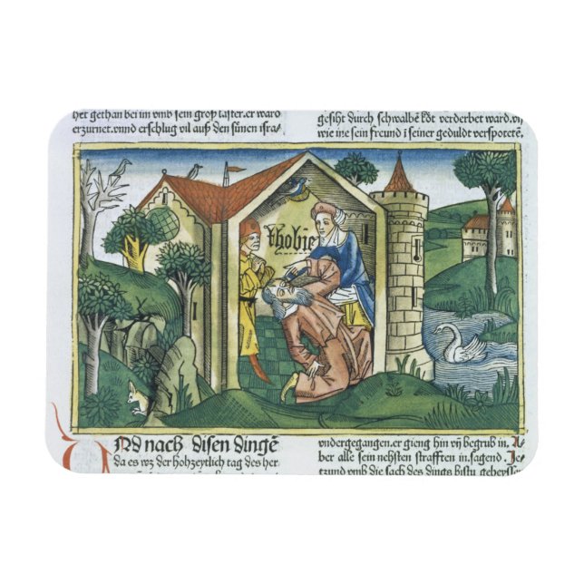 Tobit är förblindad av sparvens droppor magnet (Horisontell)