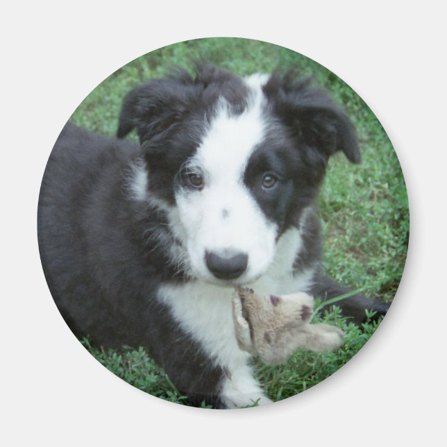 Toby1 Magnet (Framsidan)