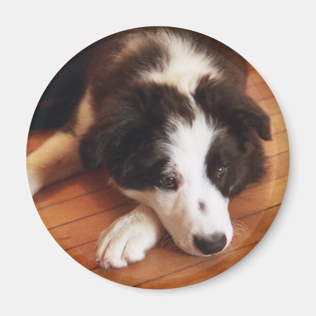 Toby2 Magnet (Framsidan)