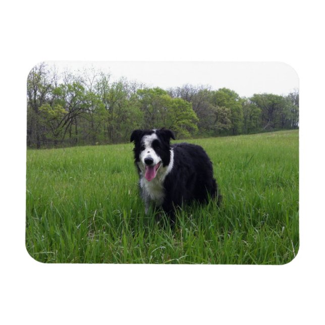 Toby Magnet (Horisontell)