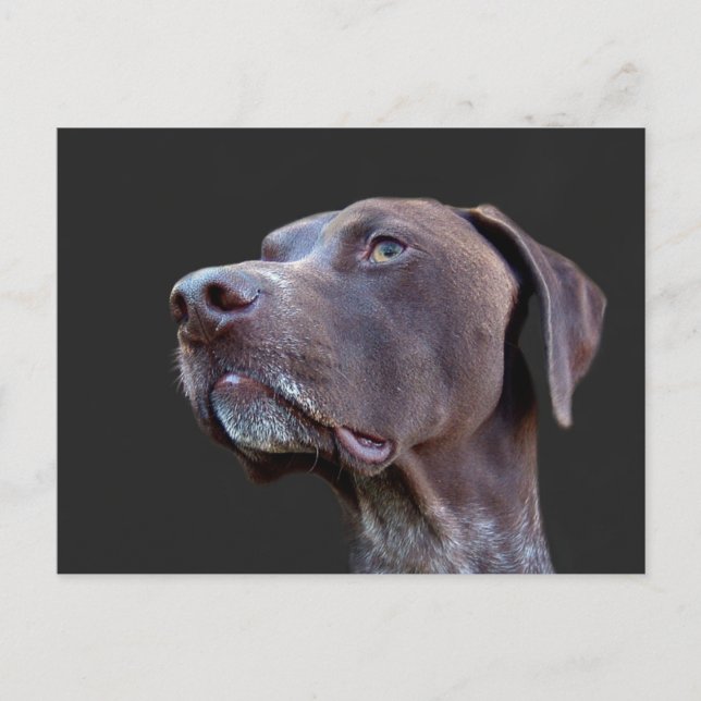 Toby Vykort (Framsida)