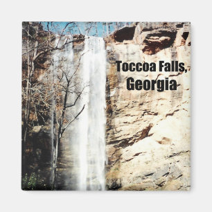 Toccoa Falls, Georgien Magnet