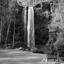 Toccoa Falls in Black and White