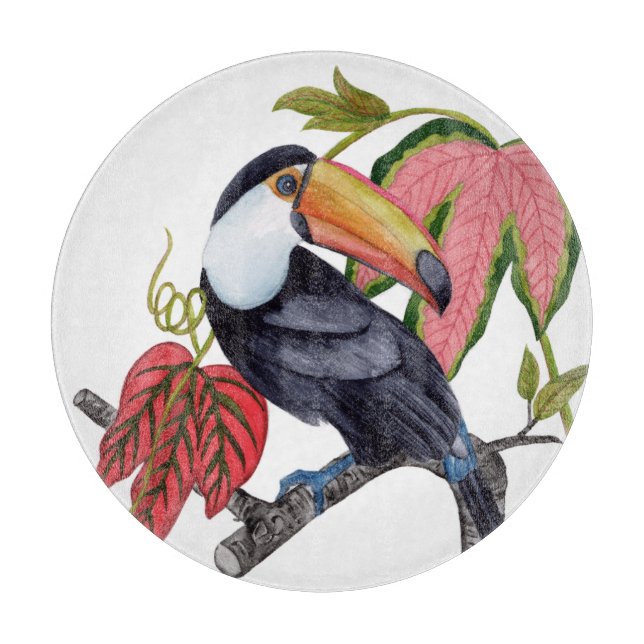 Toco Toucan (Framsidan)