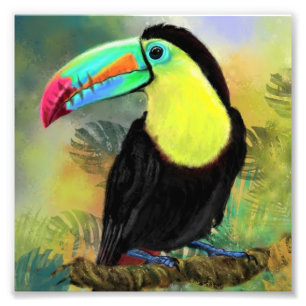 Toco Toucan Bird Painting Poster Skriv ut