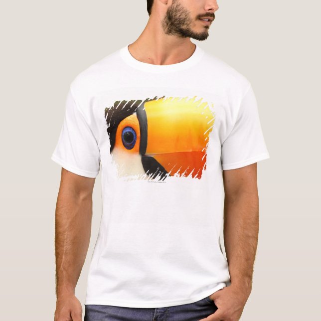 Toco Toucan (den Ramphastos tocoen) är det störst Tröja (Framsida)