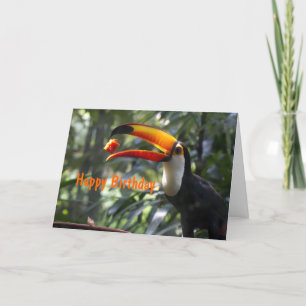 Toco Toucan födelsedagkort Kort