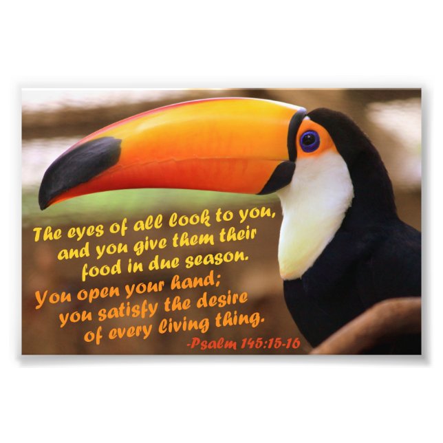 Toco Toucan med Psalm 145:15-16 Fototryck (Framsidan)