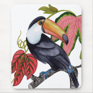 Toco Toucan Musmatta