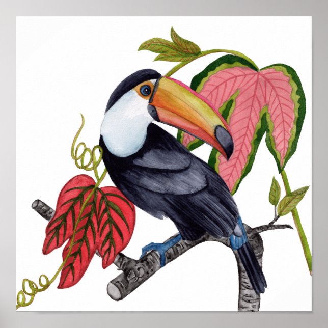 Toco Toucan Poster (Framsidan)