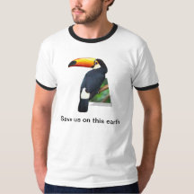 Toco Toucan